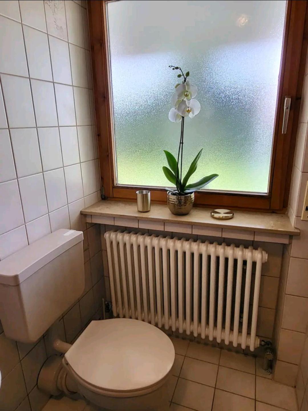 Ferienwohnung Am Bodensee Tettnang Eksteriør bilde